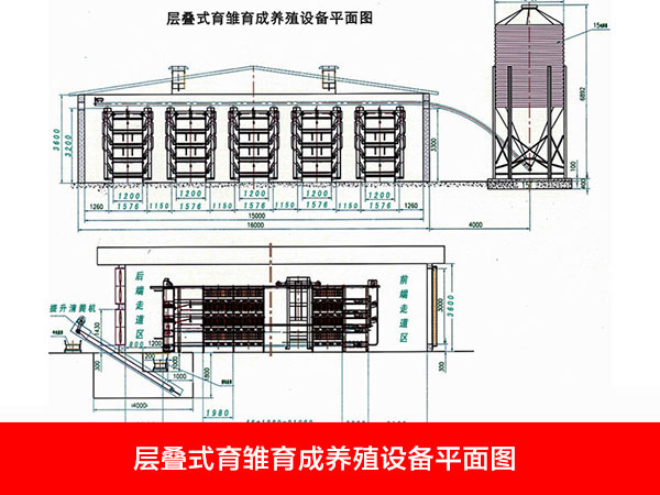 層疊式育雛育成養(yǎng)殖設備平面圖